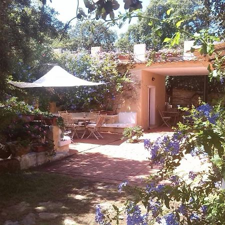B&B Le Corti Di Aloa San Pantaleo Buitenkant foto