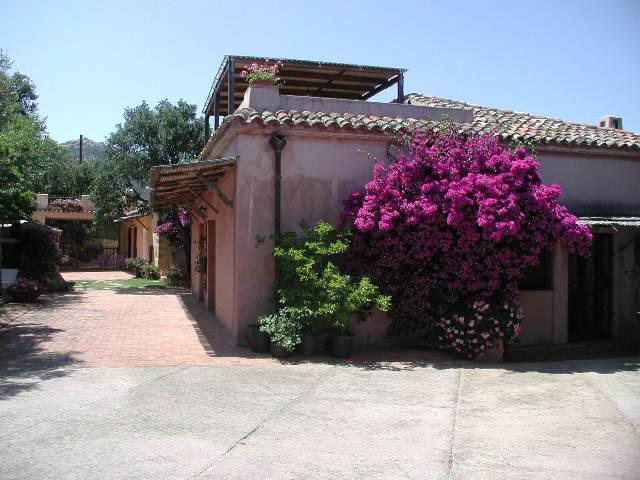 B&B Le Corti Di Aloa San Pantaleo Buitenkant foto