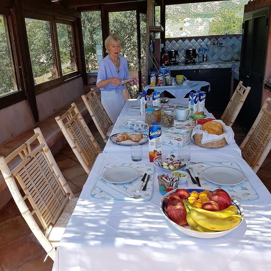 B&B Le Corti Di Aloa San Pantaleo Buitenkant foto